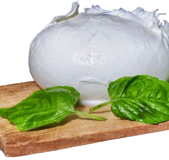 Mozzarella di Latte di Bufala Campana  – “Fresh buffalo milk mozzarella”