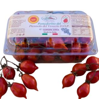 Piennolo Cherry Tomato from Vesuvius D.O.P. “Pomodorino del Piennolo del Vesuvio D.O.P.”