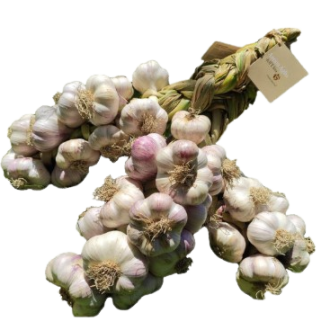 Antico Aglio Valle dell´Uffita IGP, Avellino