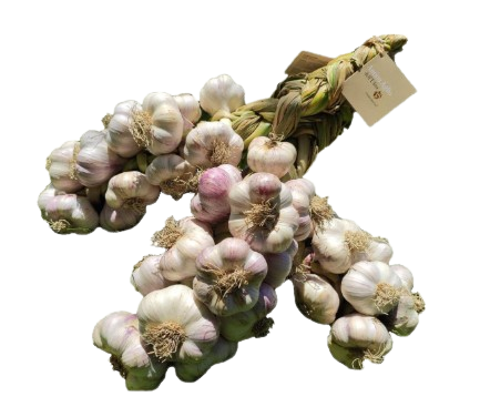 Antico Aglio Valle dell´Uffita IGP, Avellino